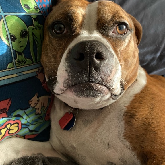 Meet Magic-Menagerie (SUGGESTED USER!) - Picture 8 of 8